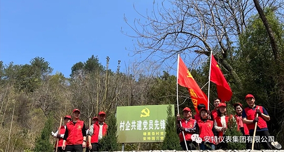 党建强引领，，，，共植先锋林